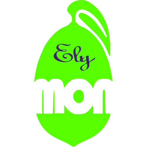 Elimon sponsor